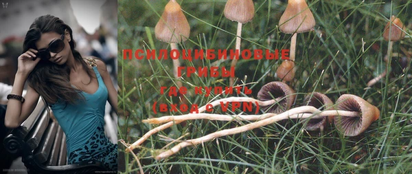 гашиш Новозыбков